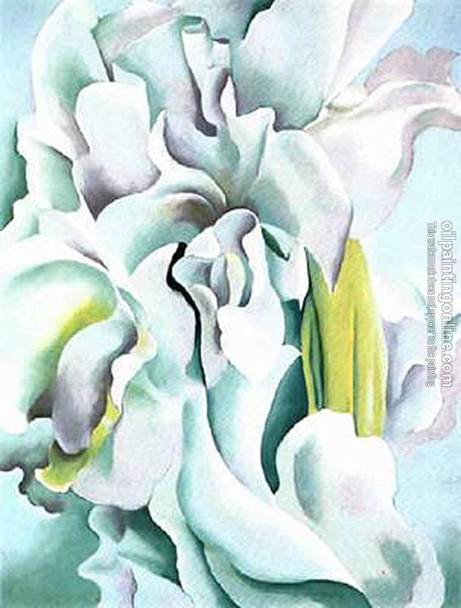 O Keeffe, Georgia - White Sweet Peas